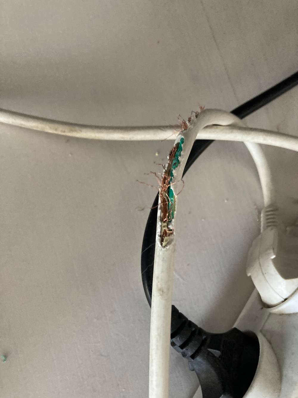 Eaten cable