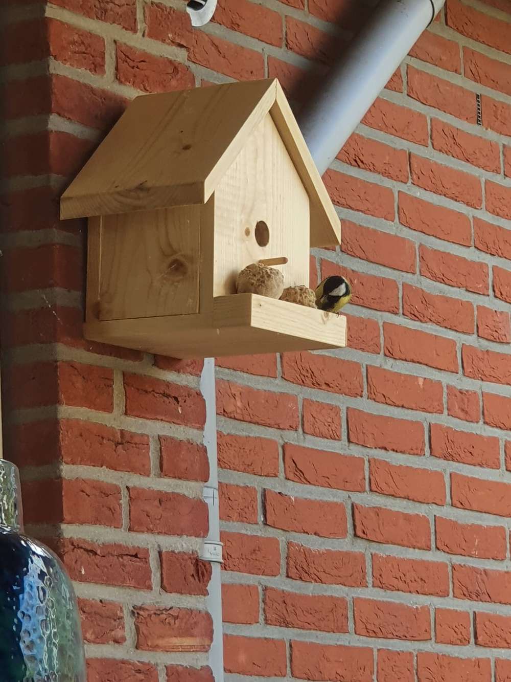 Bird house in use