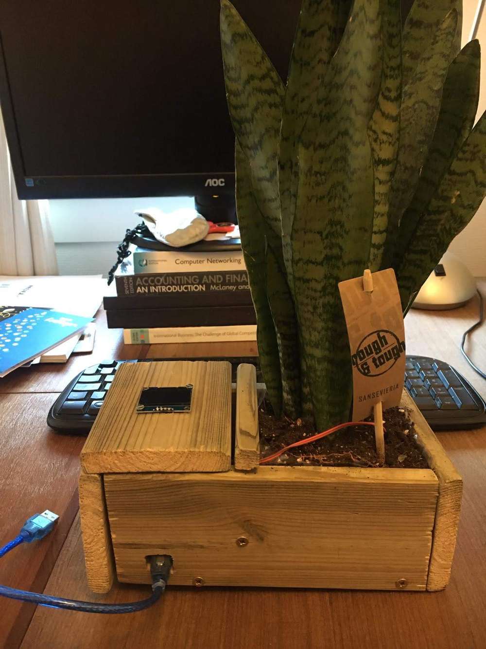 Planter with sensor