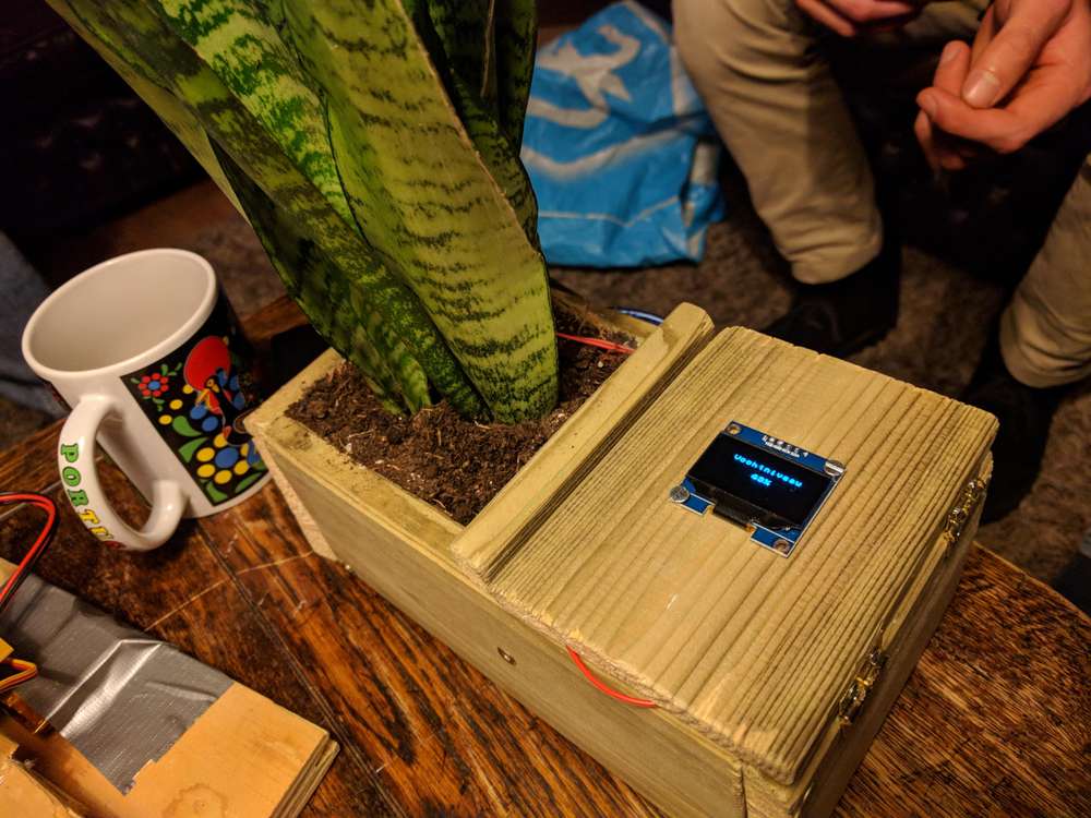 Planter with sensor