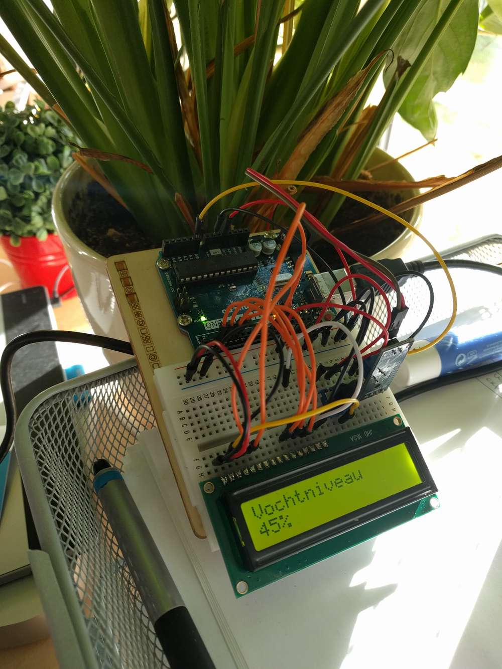 Plant with sensor.